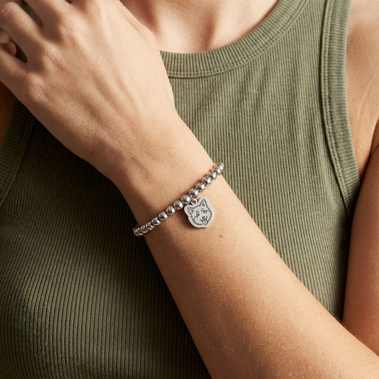 Beads Pet Bracelet (Silver Finishes)