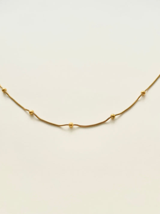 Everyday Essentials Necklace G