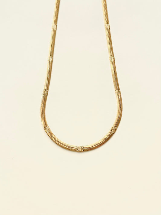 Everyday Essentials Necklace H