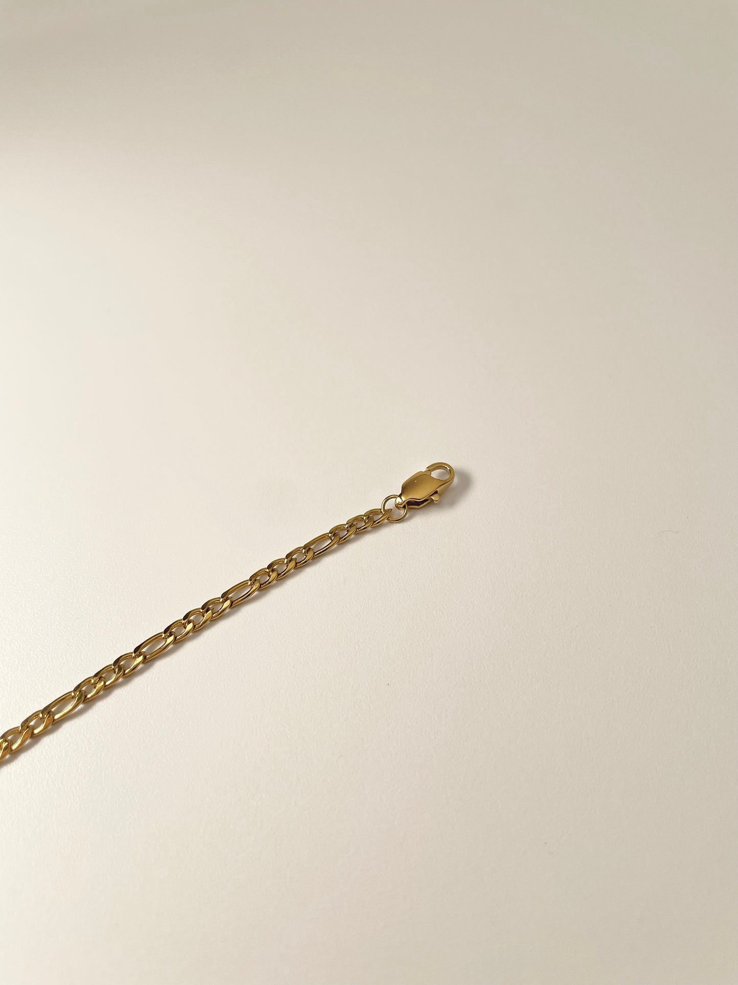 Pet Portrait Figaro Chain Necklace