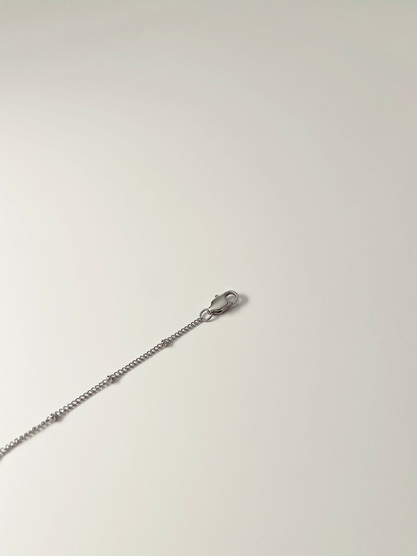 Pet Portrait Beaded Chain Necklace