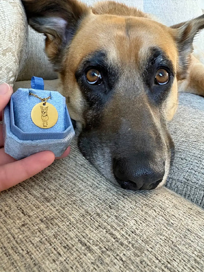 Pet Portrait Disc Necklace (Gold)