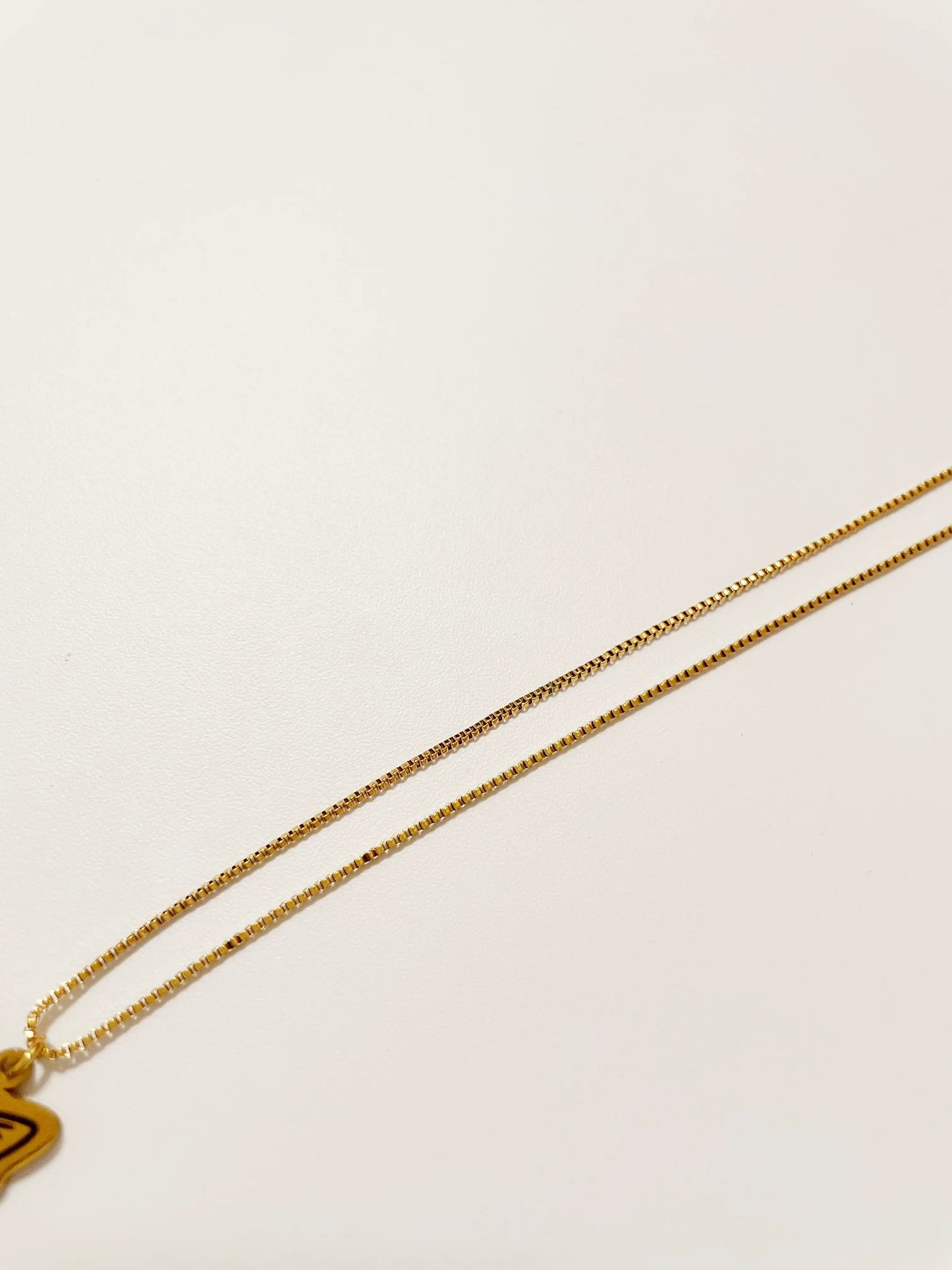 Pet Portrait Herringbone Chain Necklace