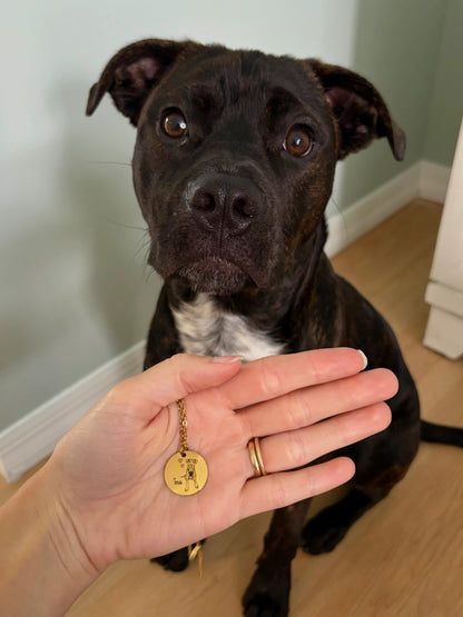 Pet Portrait Disc Necklace (Gold)