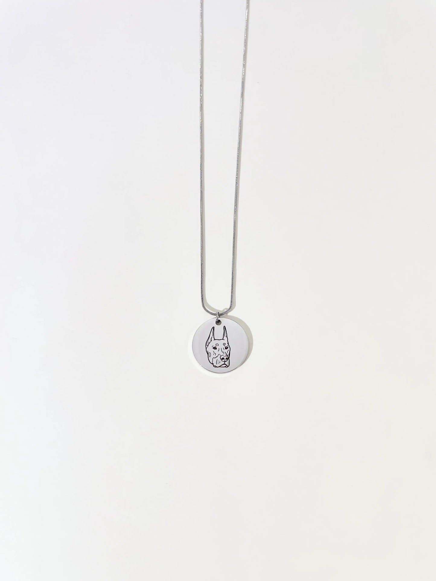 Pet Portrait Disc Necklace (Silver)