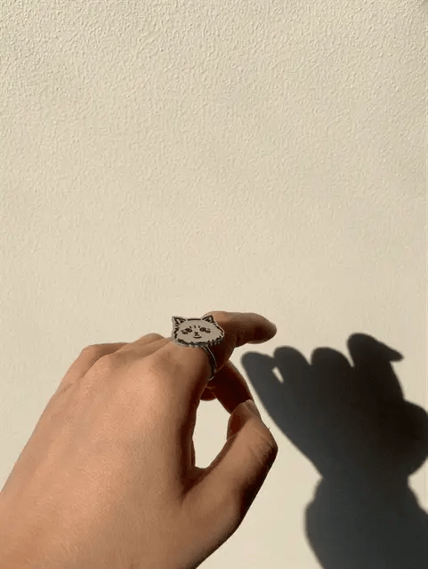 Pet Portrait Anxiety Ring