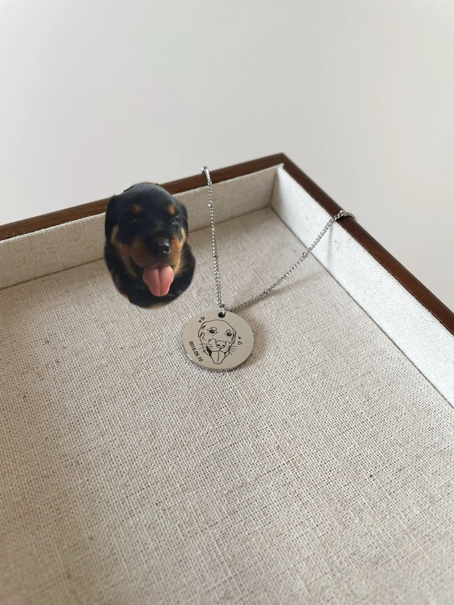 Pet Portrait Disc Necklace (Silver)