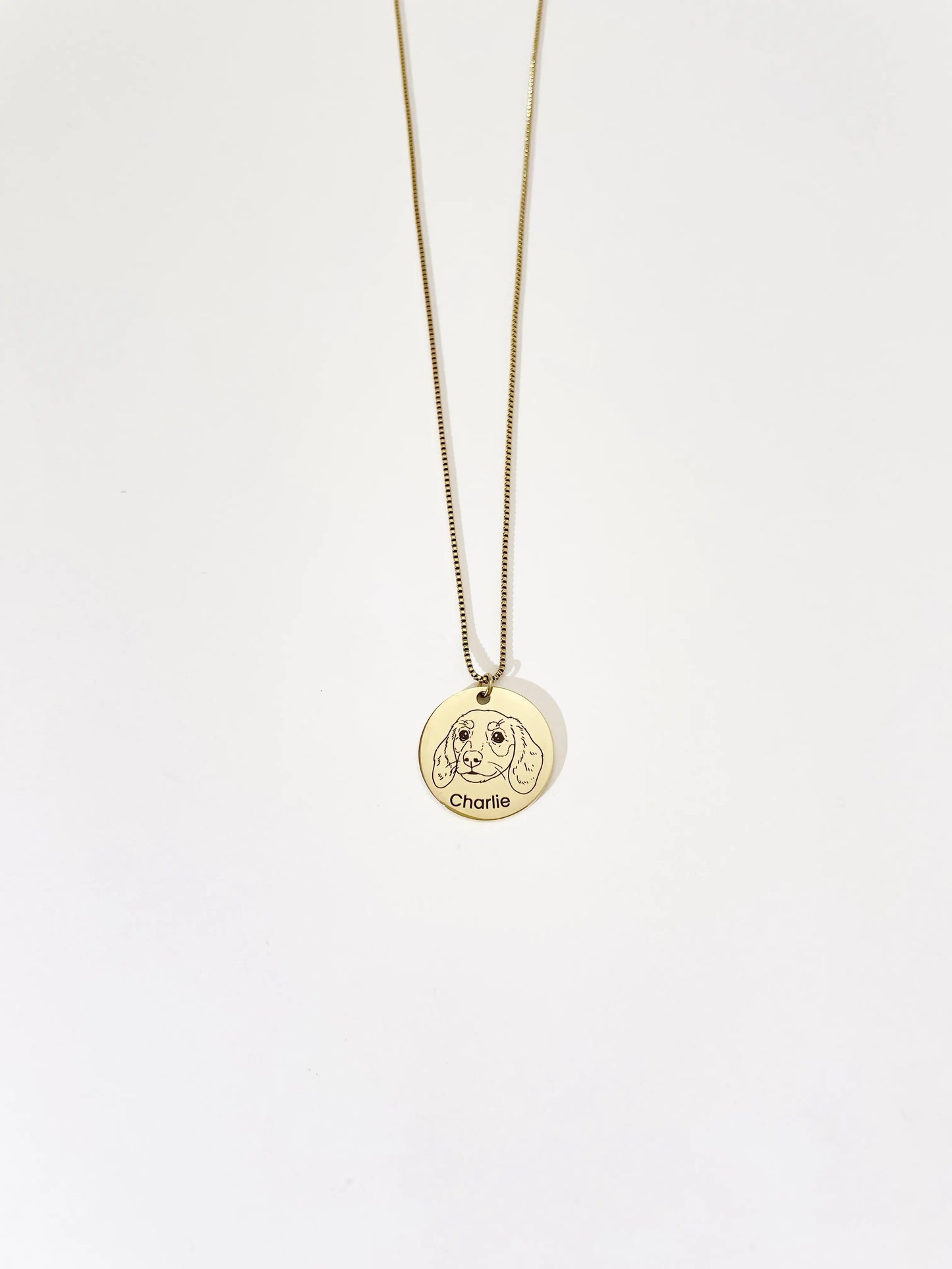 Pet Portrait Disc Necklace (Gold)